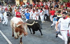 西班牙奔牛节（西班牙节日）