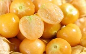 灯笼果和姑娘果的区别