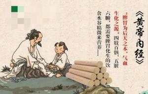 补气吃什么比较好又快（补气中成药）