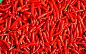 小米辣的作用与功效