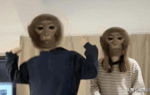 吗喽是什么意思(网络用语怎么说)