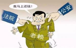 执行人找不到该怎么办