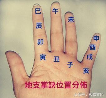 掌上排年柱法,掌上推生肖法