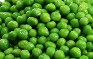 青豆的营养价值及功效