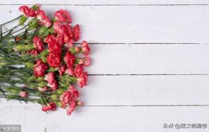 很管用的五种旺财植物