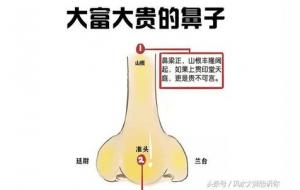 悬胆鼻的男人、女人命运