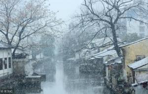 伤官在八字的喜忌作用