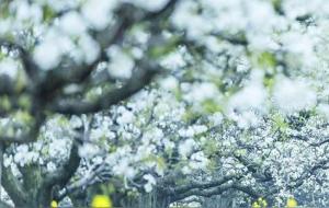 见过世面女人的特点