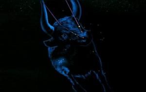 金牛座的性格优点和缺点