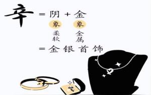 辛金命的人特点分析