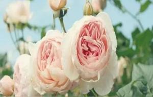 人到中年的精辟感悟