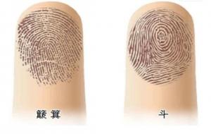 一个簸箕九个斗怎么解释