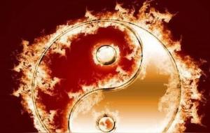 巳火是金的长生还是死地