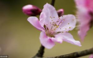 八字用神怎样找(经验心得)