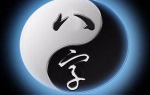 天干庚金代表什么含义