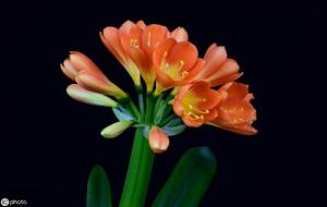 女人婚姻不顺的八字特征