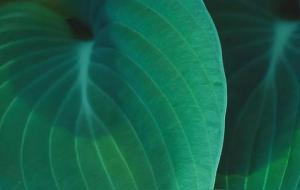 金牛座口才为什么好