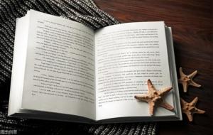 会合对六冲的影响