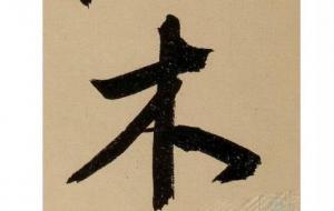 木之逐月取用什么意思