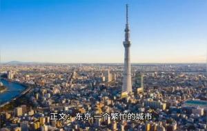 日本是傻B吗,日本人脑子不正常?