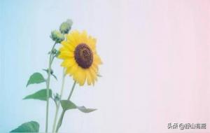 10个让人生开挂的玄学