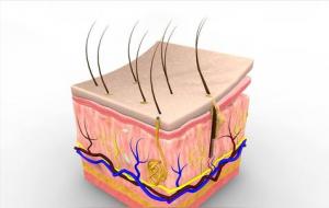 长期素颜皮肤会变好吗