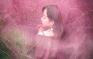 容易出女强人的生肖女