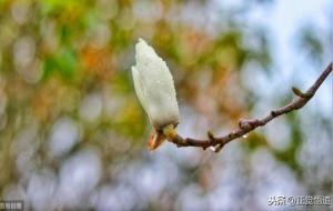 做人厚道一点不吃亏,必有福报