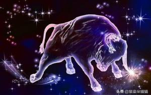 如何与金牛座女生相处