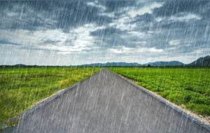 惊蛰下雨意味着什么