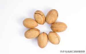 碧根果是哪里的特产（美国）