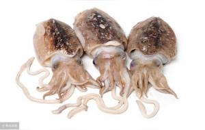 墨鱼的营养价值及功效