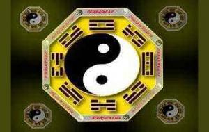 运星死是什么意思