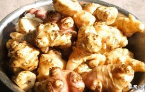 洋姜的腌制方法怎样腌制洋姜好吃