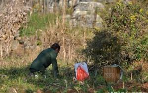 坟地的风水格局(坟前3大风水忌讳)