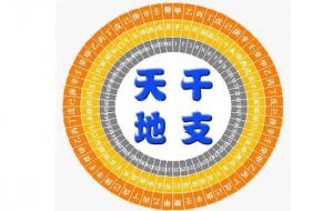 八字中人与人之间的情感模式