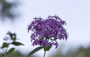 心灵的层次文章