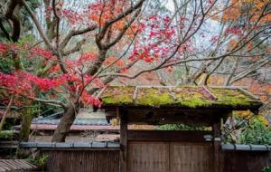 放下是一种境界与智慧