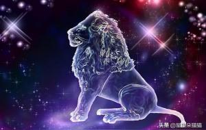 如何与狮子座女生相处