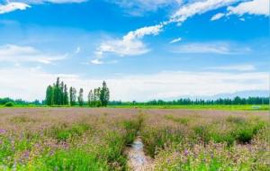 当今10大反常现象