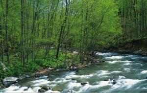 风水中相水的方法