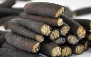 海笋的营养价值及功效