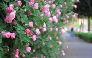 面相和气的人是福报