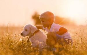 八字日支断个性