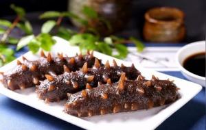 海参的营养价值和功效