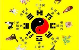 日干支代表什么意思