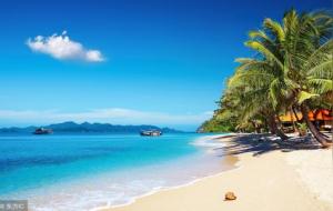 华盖和将星同出现的意思(将星和华盖