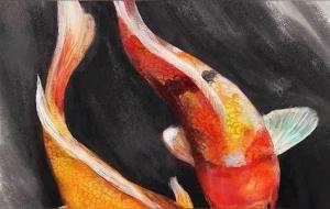 锦鲤什么颜色最招财