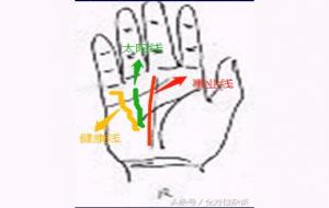 手相之事业线、太阳线、健康线