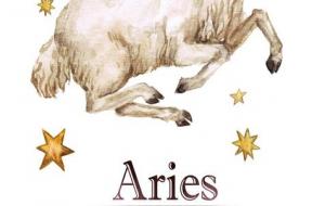 属猪白羊座男生性格解析